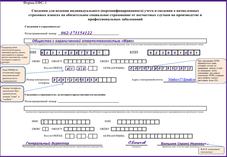 Порядок заполнения единой формы ефс 1